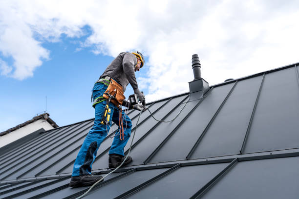 Best Skylight Installation and Repair  in Bonneauville, PA
